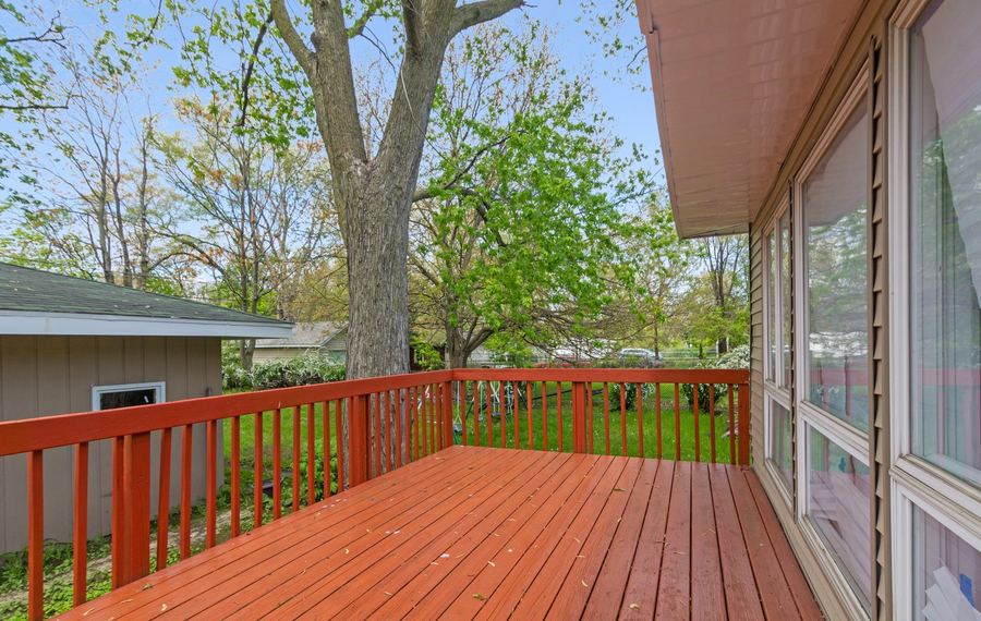 deck, forest